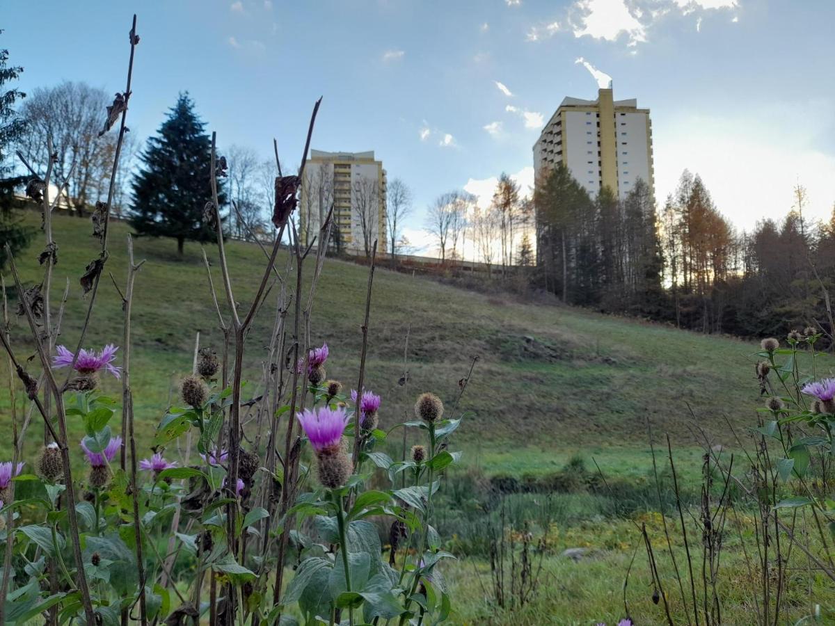 Hotel Silbertanne Hohegeiss Bagian luar foto